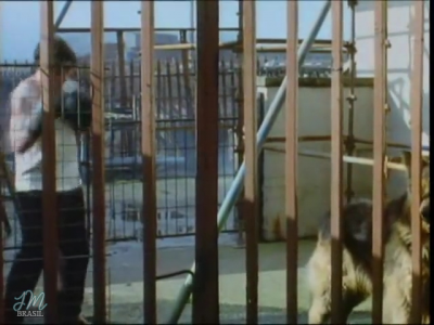 Image00004~132.png